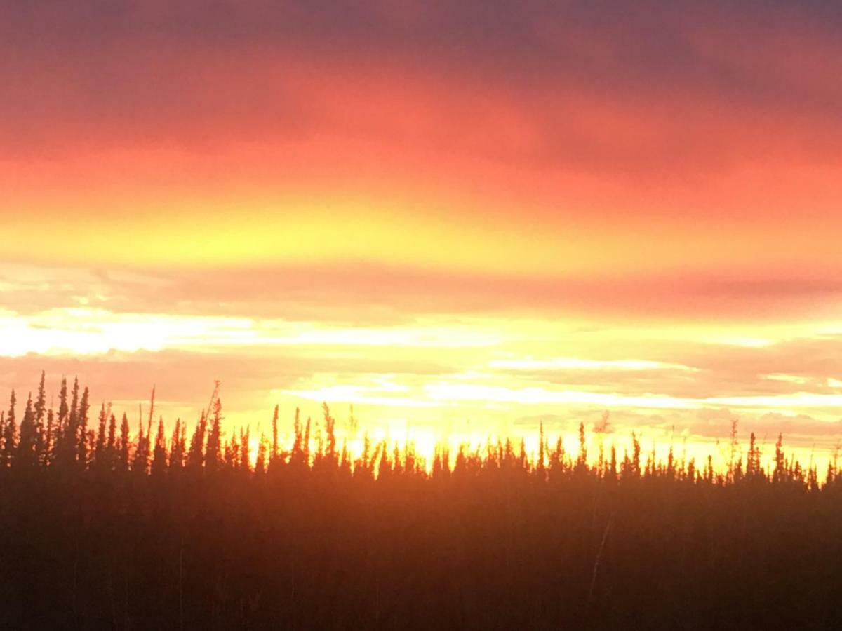 Fireweed Roadhouse Villa Nenana Exteriör bild